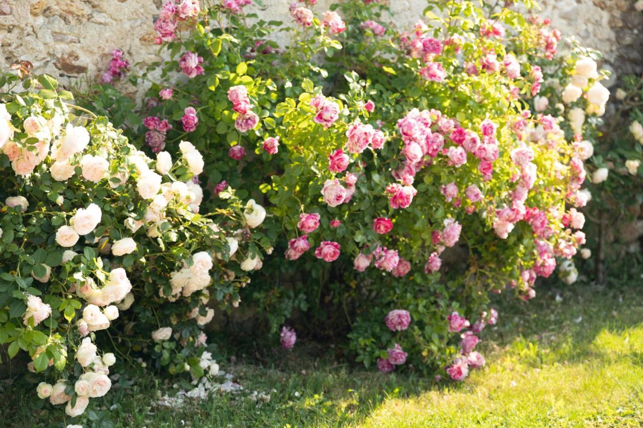 D'hote Les Ondines Bed & Breakfast *