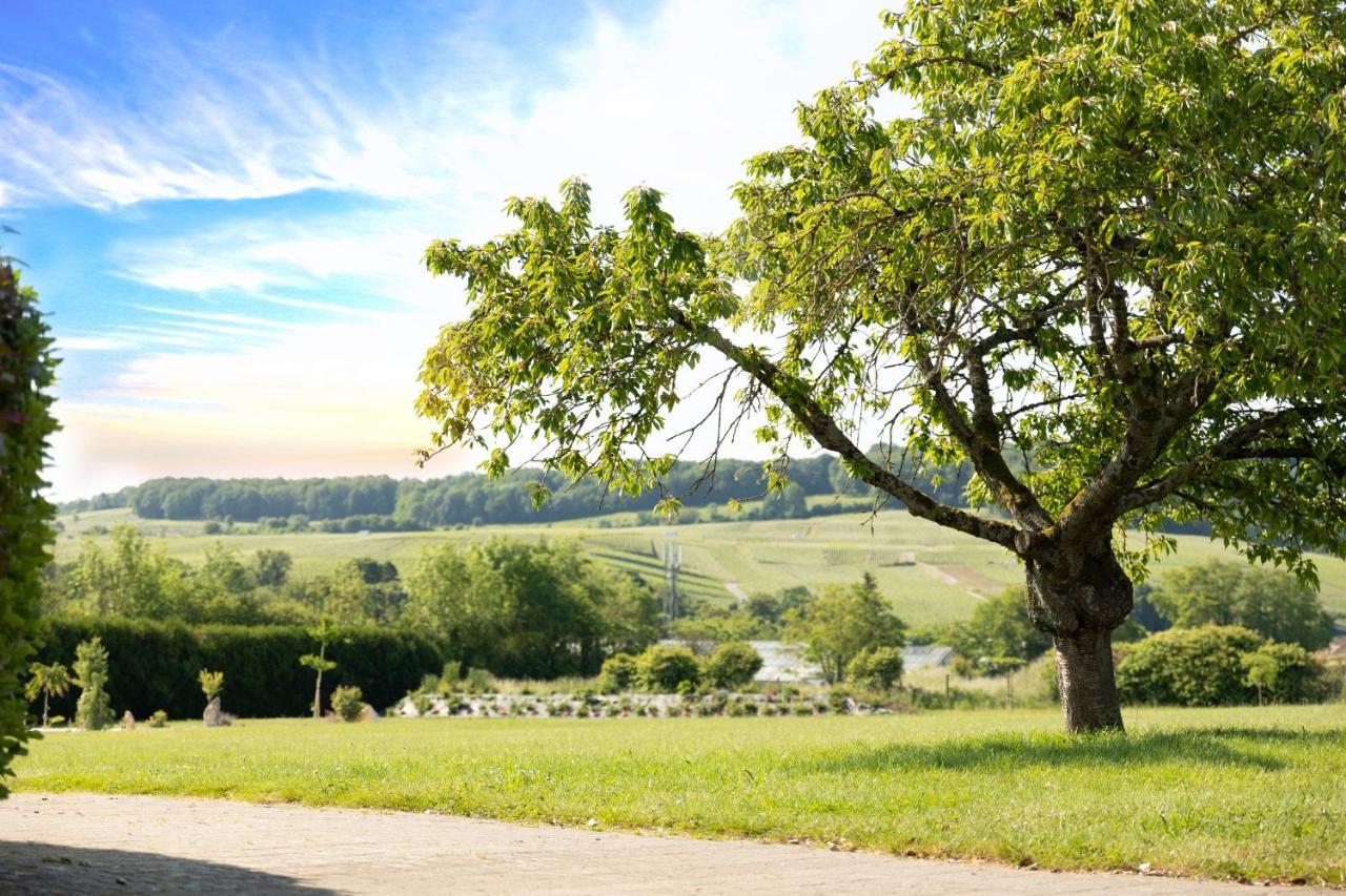 D'hote Les Ondines Bed & Breakfast